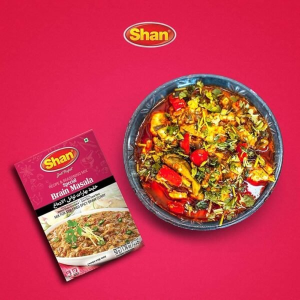 SHAN Special Brain Masala Recipe Mix 50g